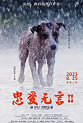 《忠爱无言2》封面
