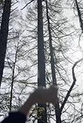 《Echo》封面