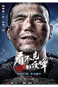 看不见的顶峰封面