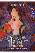 《洋子的困惑》封面