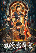 四妖棺奇案封面