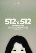 512X512封面