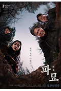 破墓封面