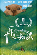 《再见土拨鼠》封面