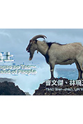 《岛上》封面
