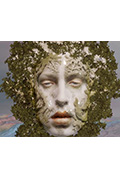 《Motheroid》封面