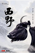 西野封面
