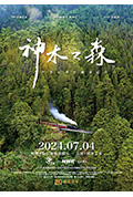 《神木之森:阿里山森林铁道纪行》封面