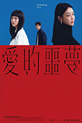 《爱的噩梦》封面