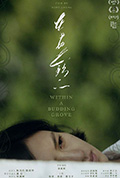 《在少女花影下》封面