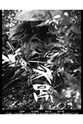 《MATAGI》封面