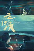 《夜泳》封面