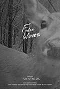 《False Witness》封面