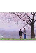 《동그랑땡》封面