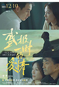 《盛极一时的爱情》封面