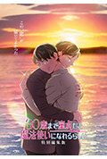 《到了30岁还是处男,似乎会变成魔法师 特别编集版》封面