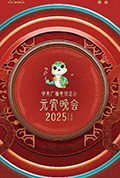 中央广播电视总台2025年元宵晚会封面