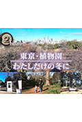 《ドキュメント72時間:東京・植物園 わたしだけの冬に》封面