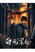 《白云深处》封面