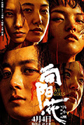 《向阳·花》封面