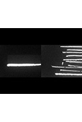 Photosynthesis part 1封面