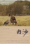 《内沙》封面