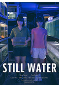 《静水》封面