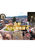 《ドキュメント72時間:山形 小さな動物園で》封面