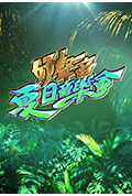 《好声音夏日音乐会》封面