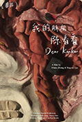 《我的朋友陈看看》封面