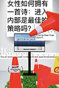 女性如何拥有一首诗: 进入内部是最佳的策略吗?封面