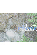 《河流啊,流去何方》封面