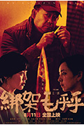 《绑架毛乎乎》封面
