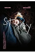《Stray》封面