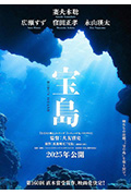 宝岛封面