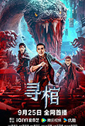 《寻棺》封面