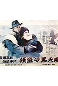 《强盗与黑天鹅》封面