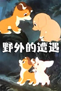 野外的遭遇封面