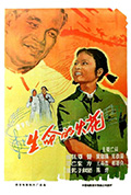 《生命的火花》封面