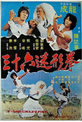 三十六迷形拳封面