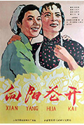向阳花开封面