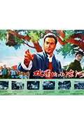 《欢腾的小凉河》封面