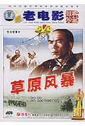 草原风暴封面