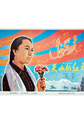 天山的红花封面