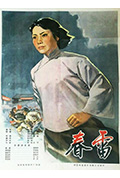春雷封面