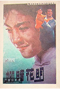 《柳暗花明》封面