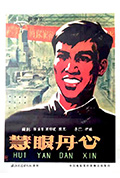 《慧眼丹心》封面
