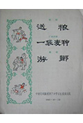 游乡封面