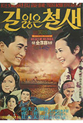 《迷途的候鸟》封面