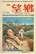 《望乡》封面